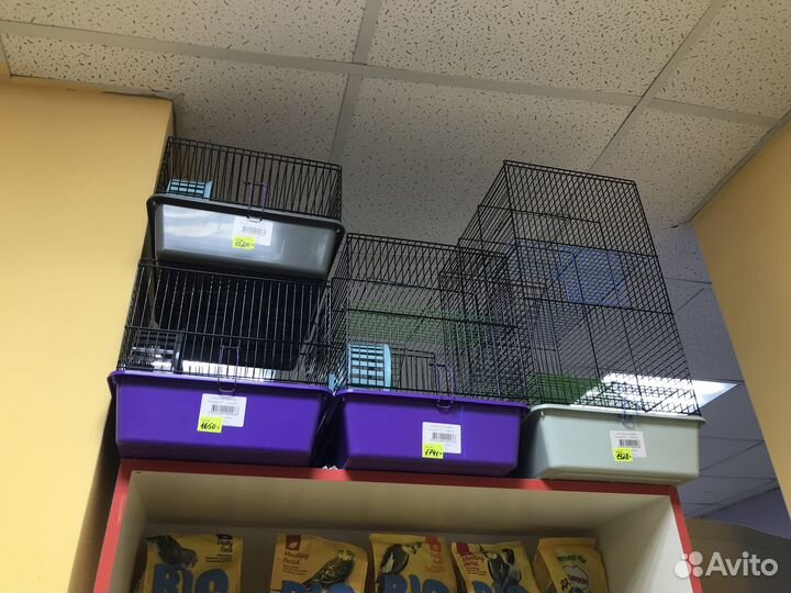 Игрушки для собак