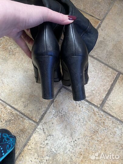 Сапоги Dolce&Gabbana оригинал