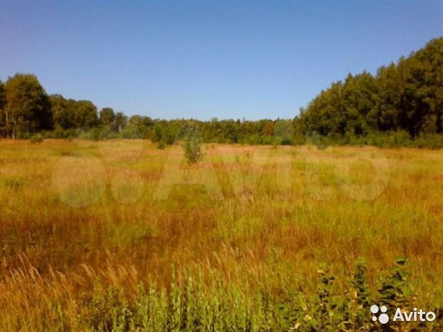 Участок 5,5 га (СНТ, ДНП)