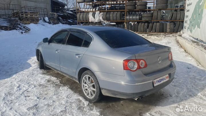 Петли двери задней правой Volkswagen Passat (B6)