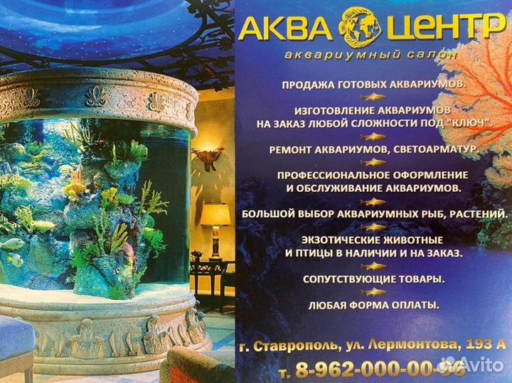 Аквариумный магазин