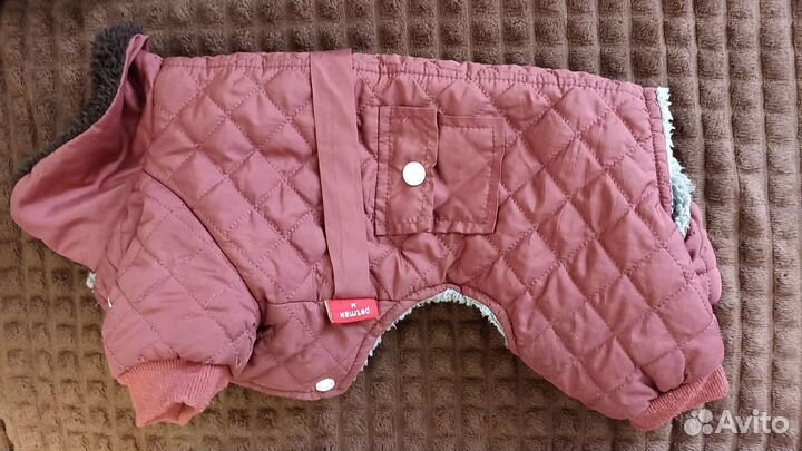 Одежда для собак мелких пород