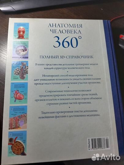 Анатомия человека