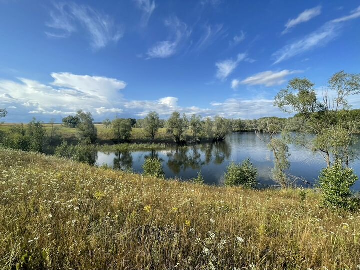 Участок 120 га (промназначения)