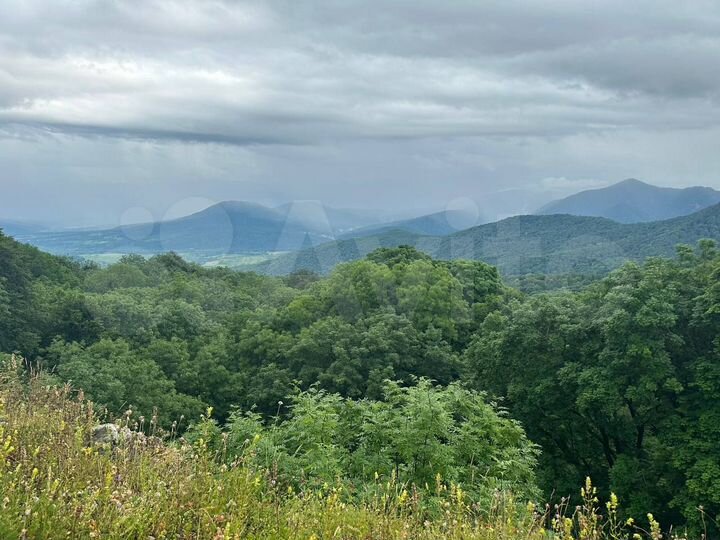 Участок 3,95 га (СНТ, ДНП)