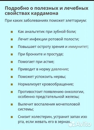 Кардамон растение