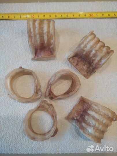 Сушеное лакомство для собак: трахея говяжья