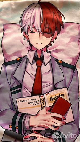 Наволочка для дакимакуры Тодороки Сёто