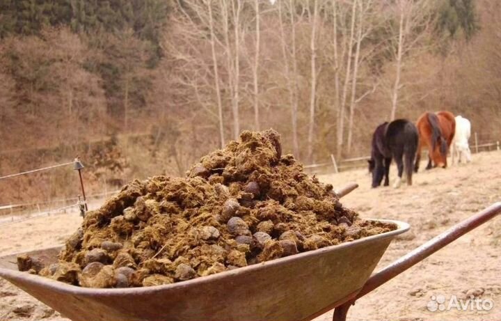 Перегной и Конский Навоз с Доставкой. В мешках