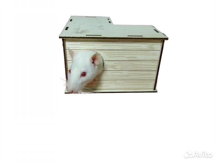 Домик для грызунов