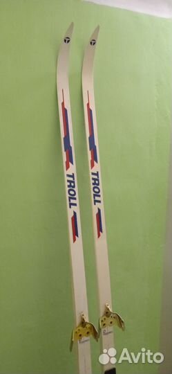 Лыжи полупластиковые