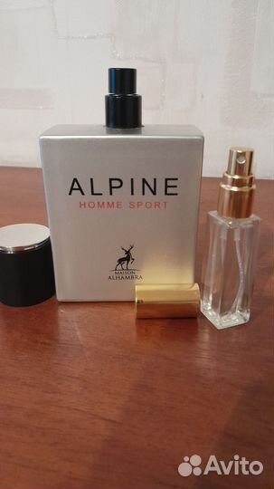 Alpine homme sport