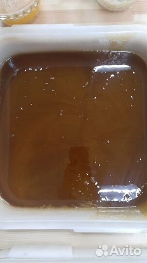 Алтайский Мед с Дягиля лекарственного