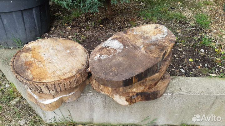 Спилы карагач