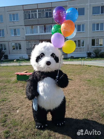 Белый мишка поздравление