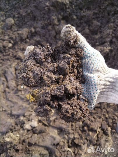 Навоз и перегной конский, коровий с доставкой