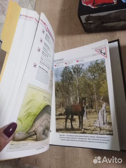 Энциклопедия В мире дикой природы