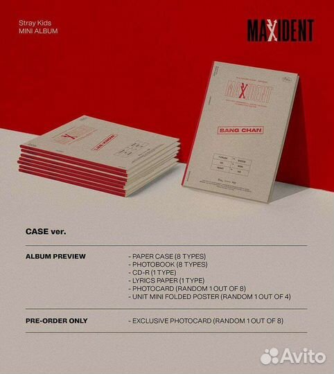 Stray Kids - maxident case ver