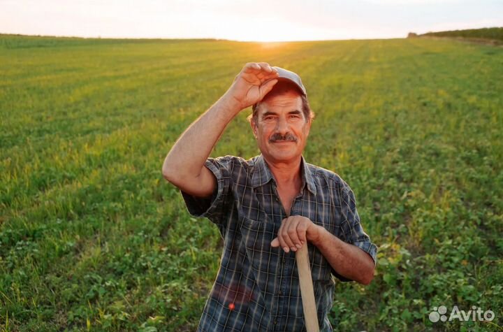 Разнорабочий Вахта от 15 смен