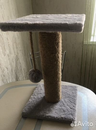 Когтеточка