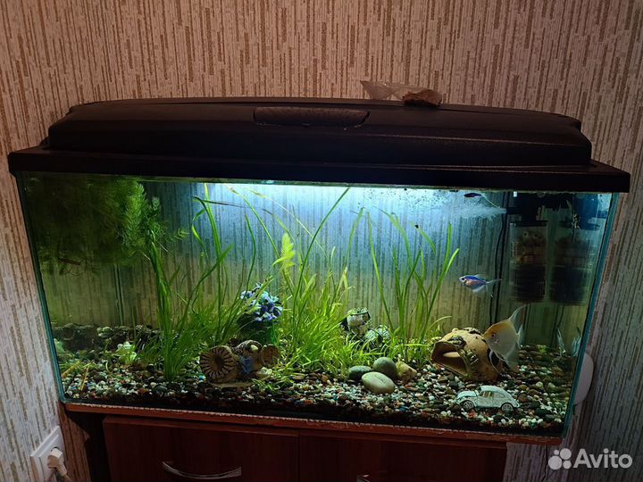 Аквариум