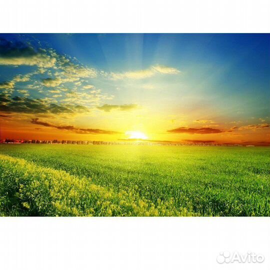 Алмазная мозаика вышивка №30 Рассвет