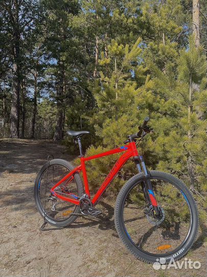 Прокат велосипедов Трасса здоровья