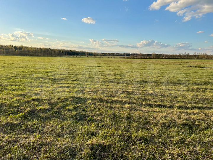 Участок 104 га (СНТ, ДНП)