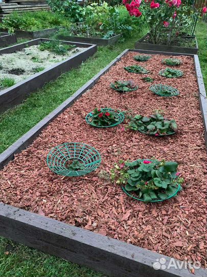 Мульча кора лиственницы