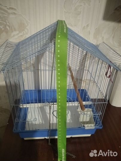 Клетка
