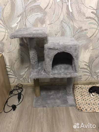 Домик для кошки новый