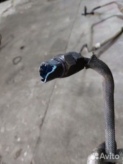 Трубка гидроусилителя Peugeot 206