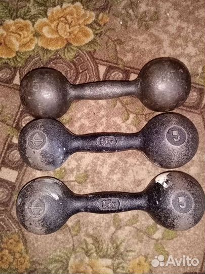 Гантели и скакалка