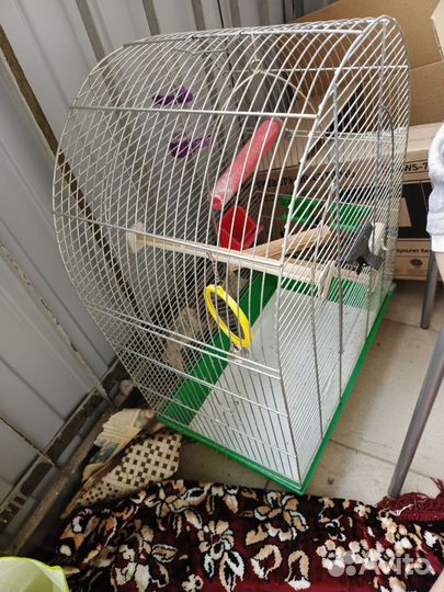 Большая клетка для птиц
