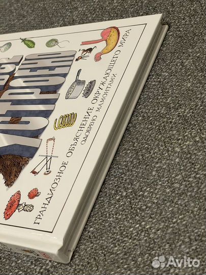 Как все устроено Дэвид Маколи DK