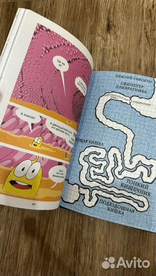 Научный комикс пищеварение