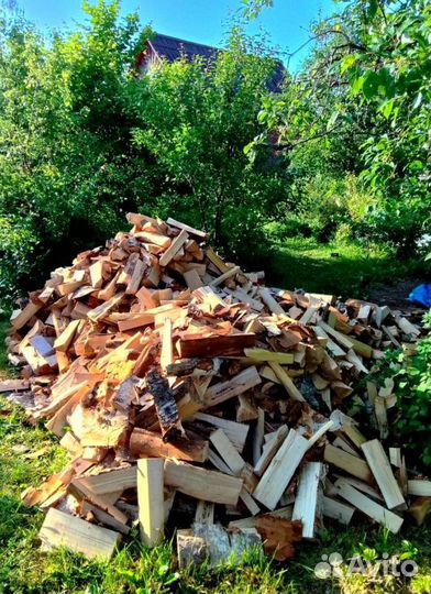 Дрова колотые Осина