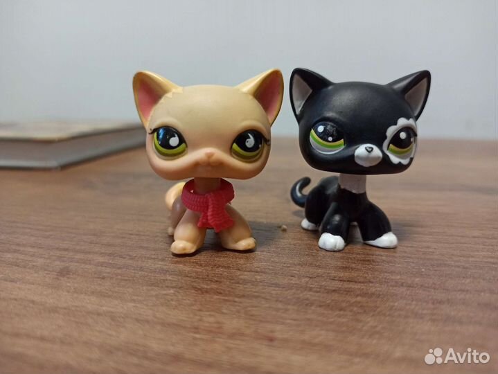 LPS новая И старая коллекция