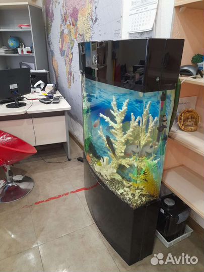 Аквариум