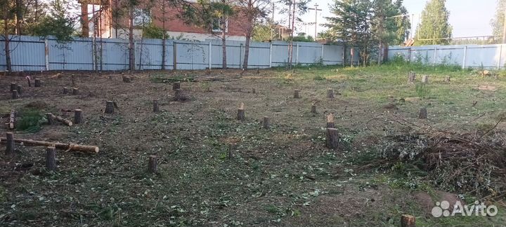 Щепорез дробилка, измельчитель древесины, веток