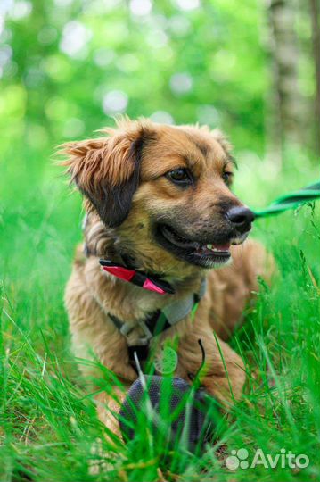 Малышка Адель ищет семью