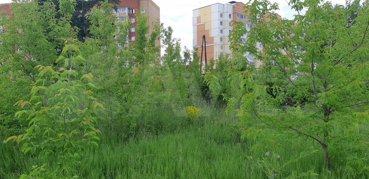 Участок 12,5 сот. (СНТ, ДНП)