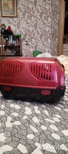 Переноска для кошек, пластик