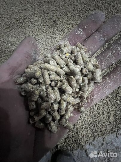 Гранулятор zlsp-200