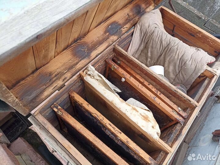 Улей для пчел бу