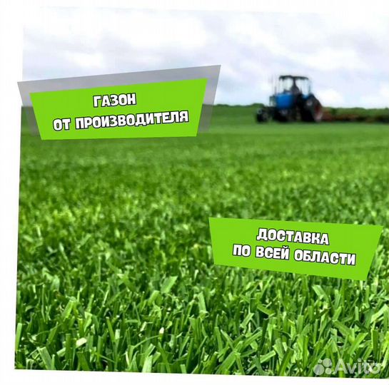Рулонный газон, газон посевной