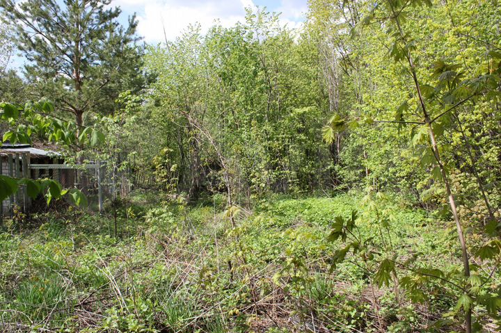 Участок 9 сот. (ИЖС)