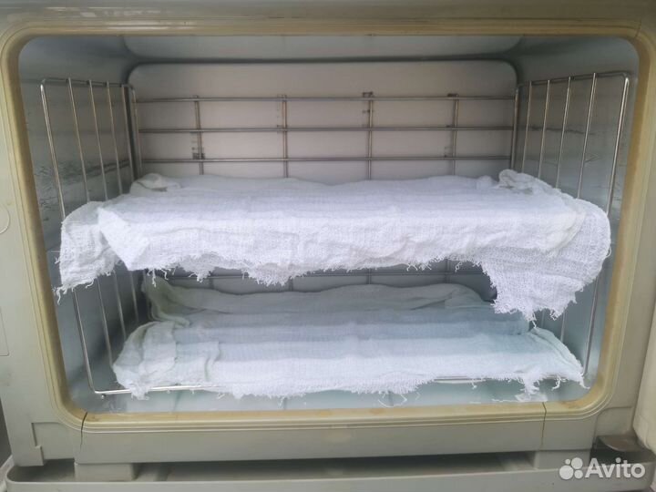 Ошиборшница