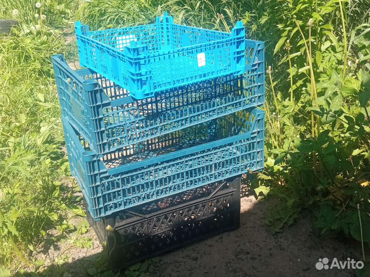 Пластиковые ящики для овощей бу