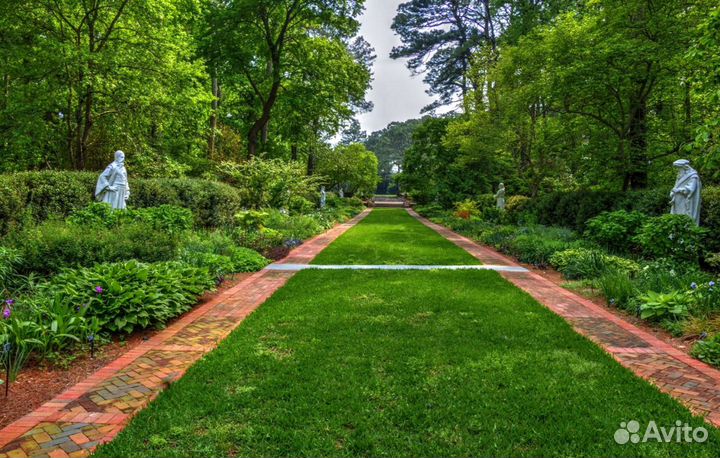 Рулонный газон с укладкой